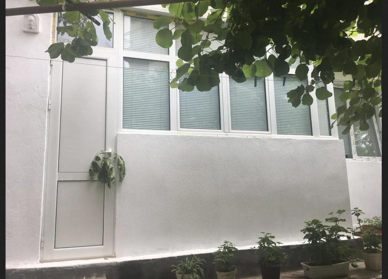 Private Room With Lovely Yard ساندانسكي المظهر الخارجي الصورة